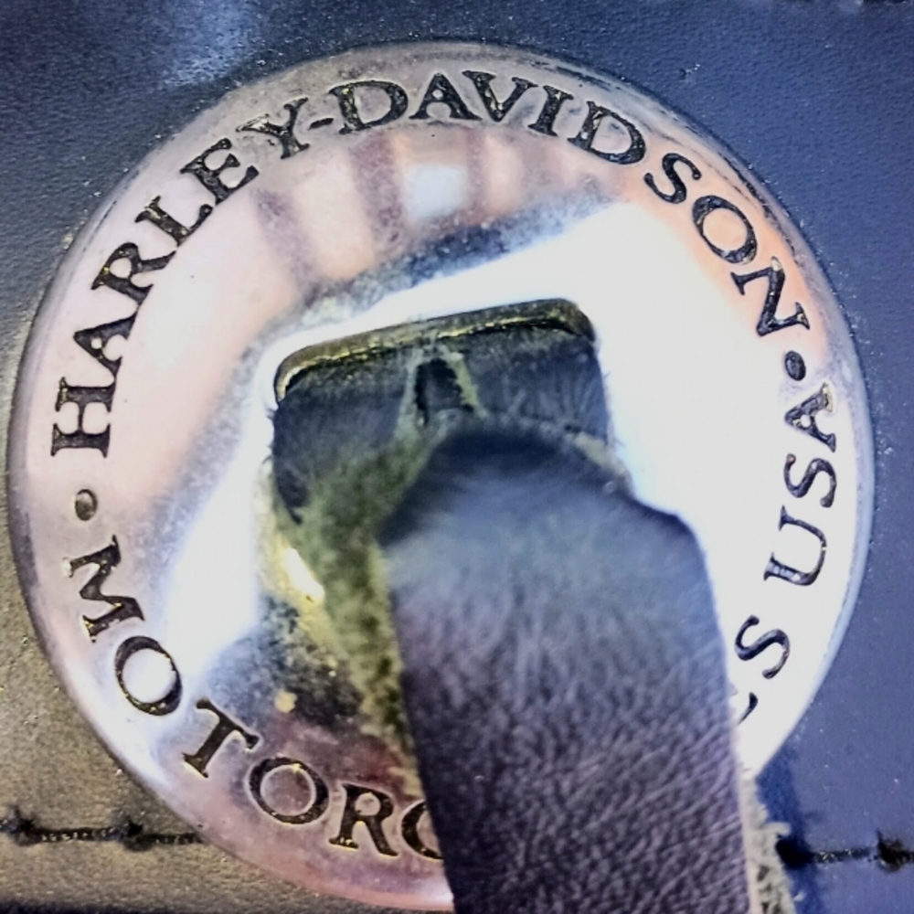 Harley Davidson Side Bag